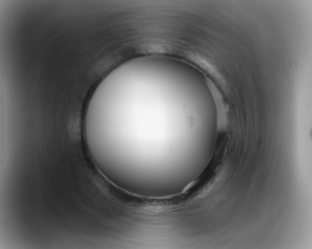 X0000088180489200705291955