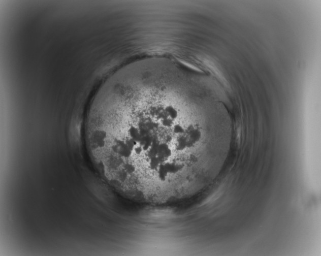 X0000088180491200705291955