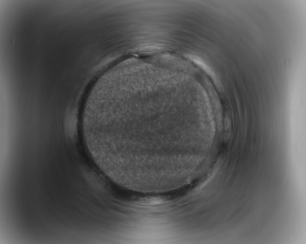 X0000088180492200705291955