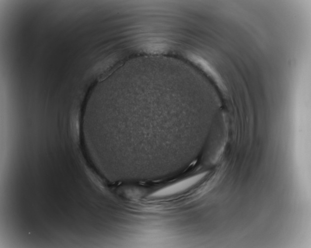 X0000088180493200705291955