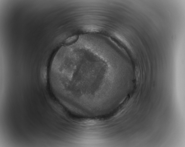 X0000088180494200705291955