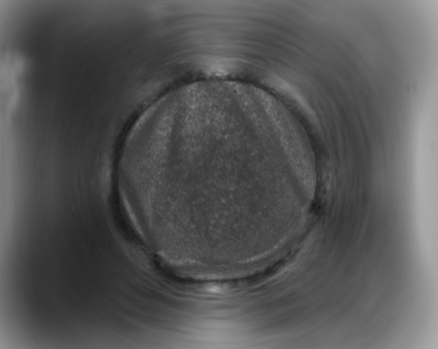 X0000088180496200705291955