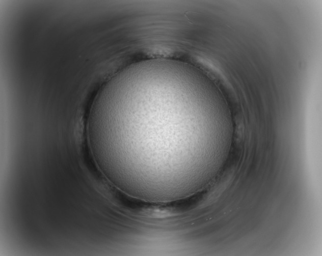 X0000088180498200705291955