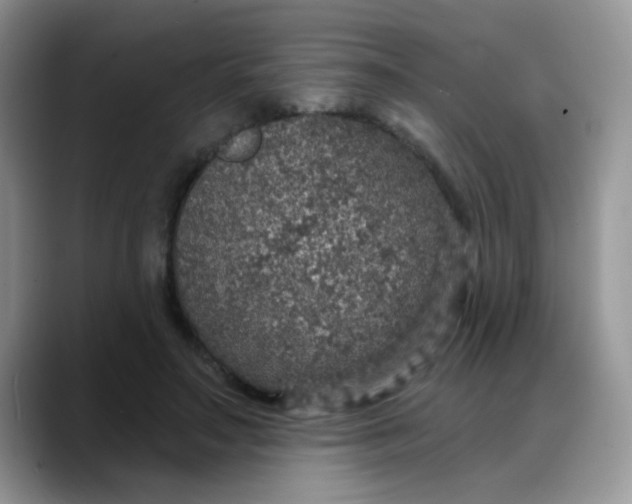 X0000088180499200705291955