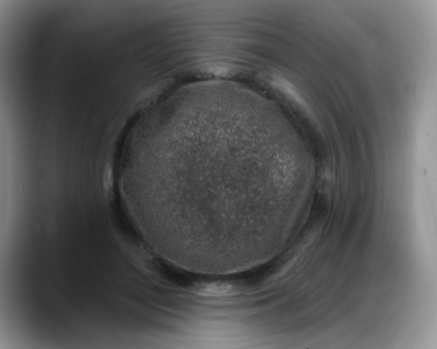 X0000088180500200705291955