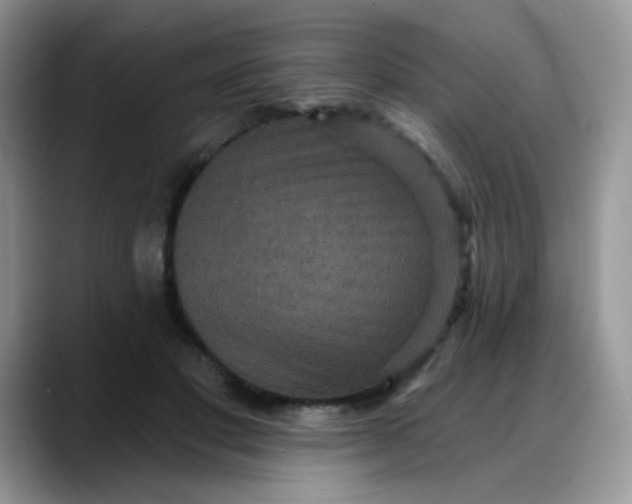 X0000088180501200705291955