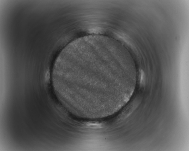 X0000088180502200705291955