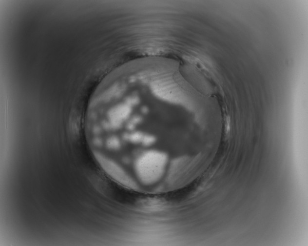 X0000088180503200705291955