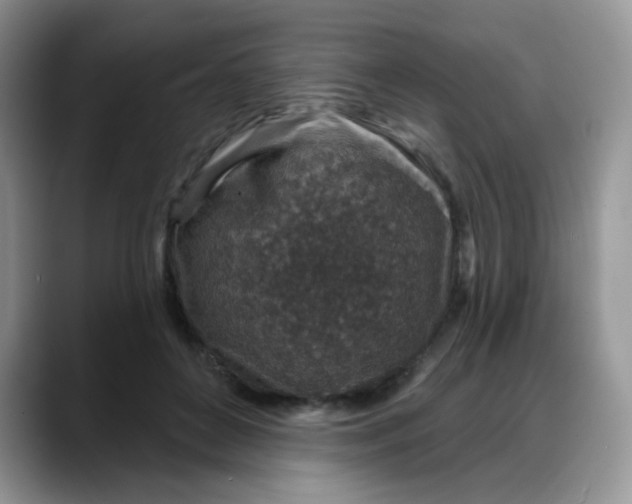 X0000088180504200705291955