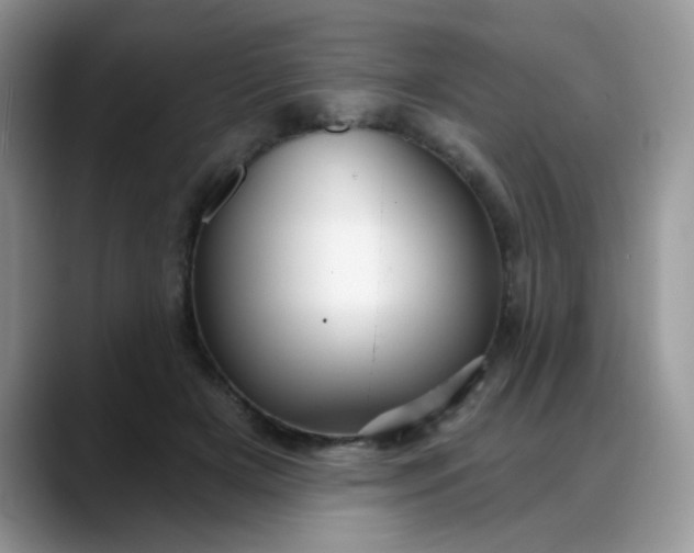 X0000088180505200705291955