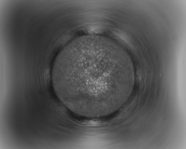 X0000088180506200705291955