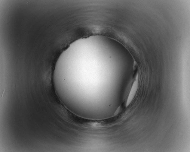 X0000088180509200705291955