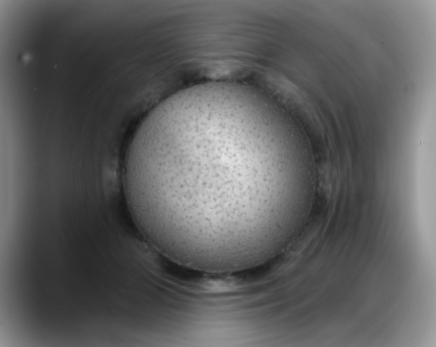 X0000088180510200705291955