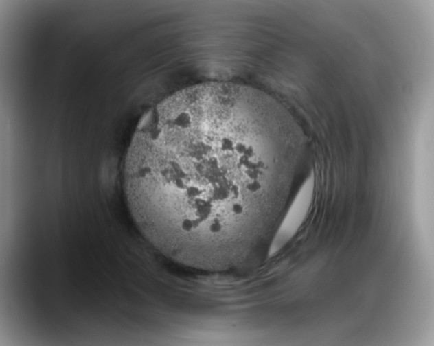 X0000088180511200705291955