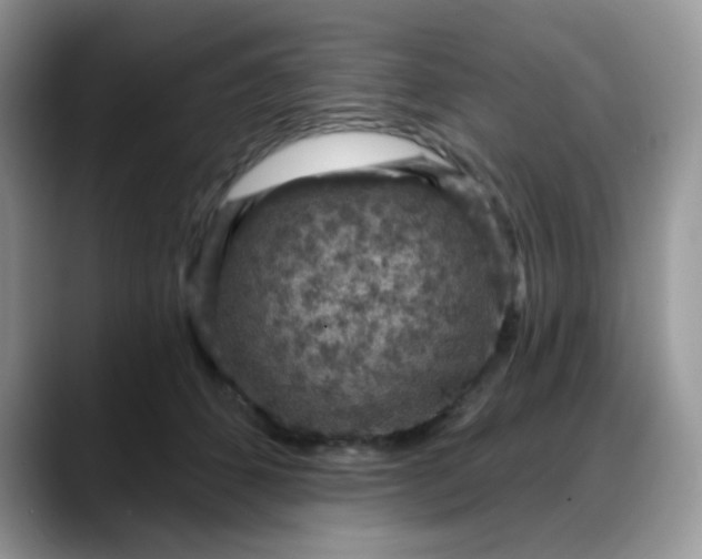 X0000088180512200705291955