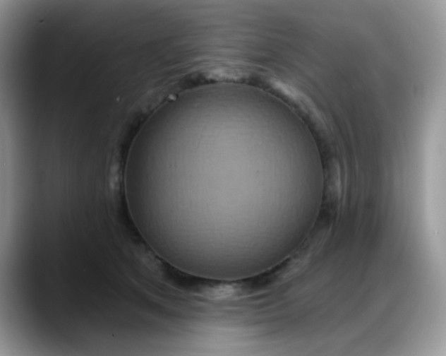 X0000088180513200705291955