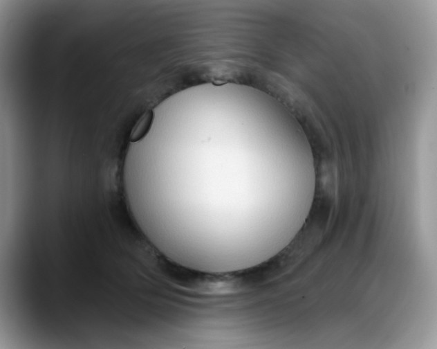 X0000088180514200705291954