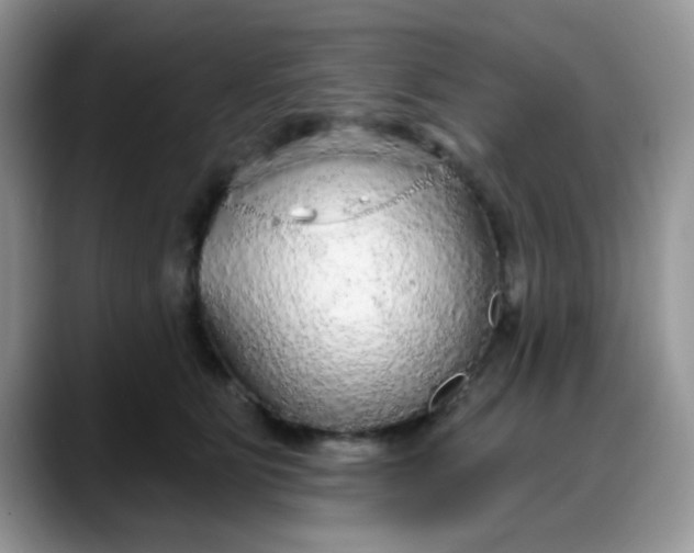 X0000088180515200705291954