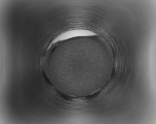 X0000088180516200705291954