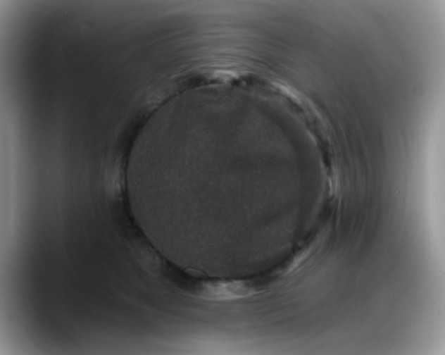 X0000088180517200705291954