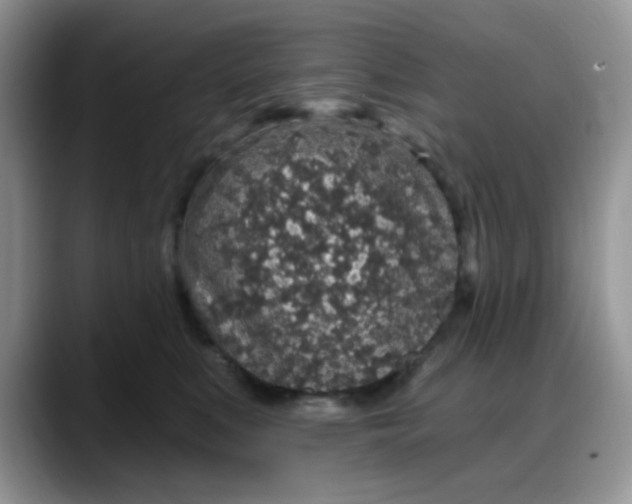 X0000088180519200705291954