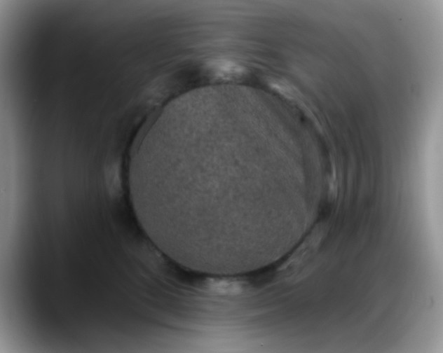 X0000088180520200705291954