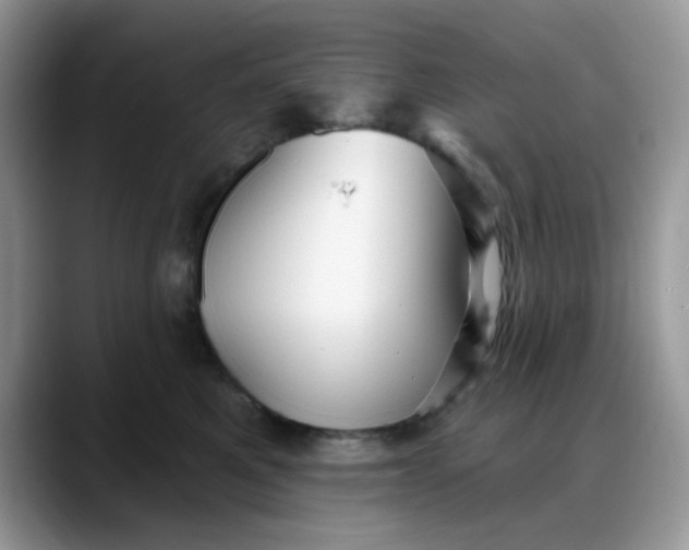 X0000088180521200705291954