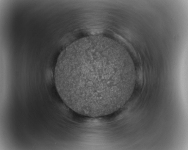 X0000088180523200705291954