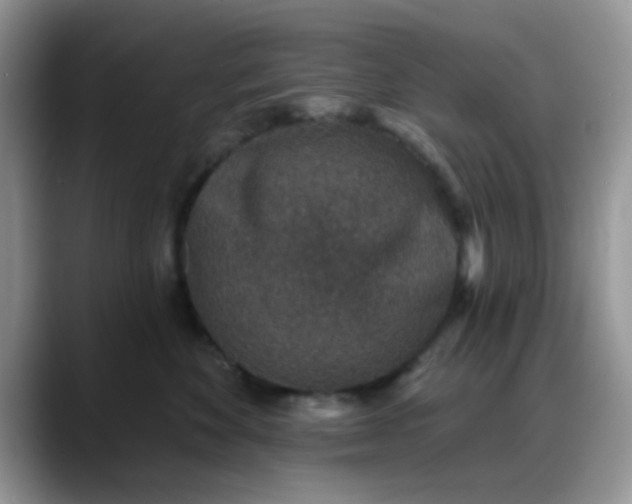 X0000088180524200705291954