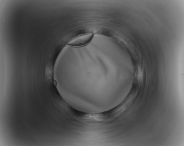 X0000088180526200705291954