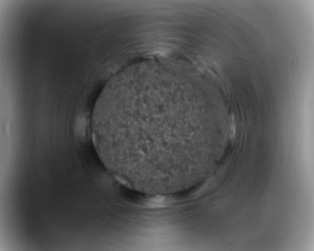 X0000088180527200705291954