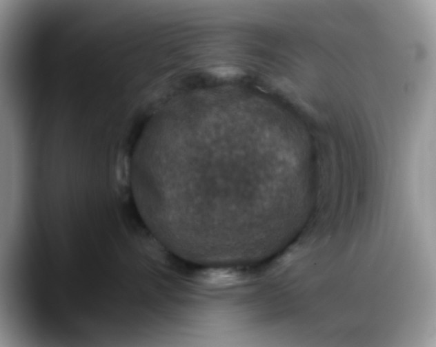 X0000088180528200705291954