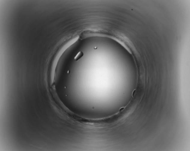 X0000088180530200705291954