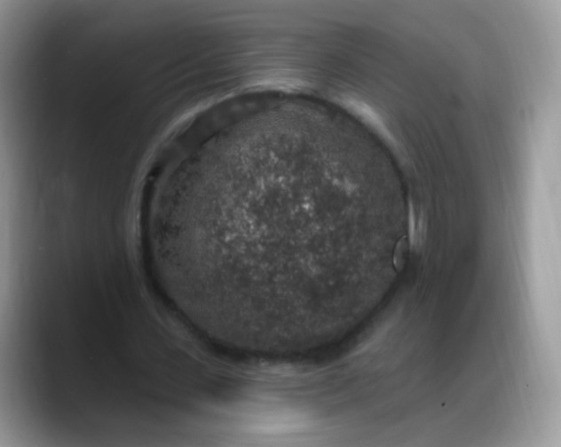 X0000088180531200705291954