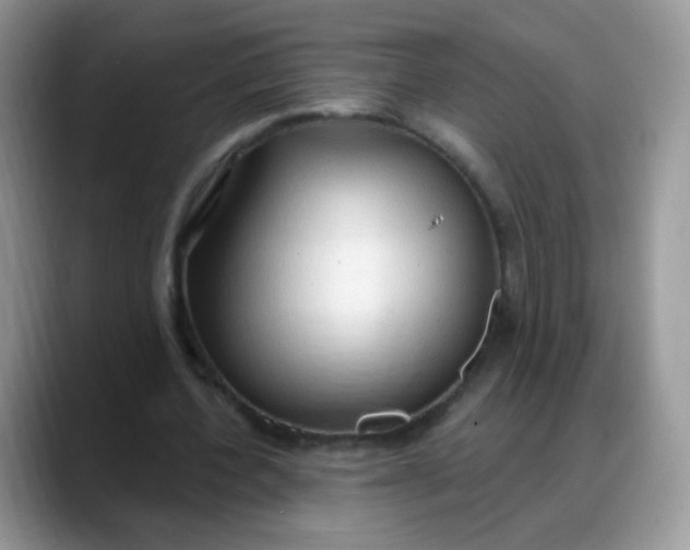 X0000088180532200705291954