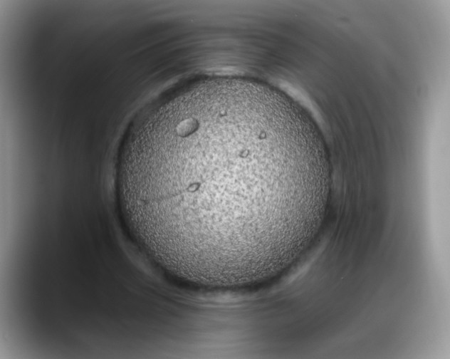 X0000088180533200705291954