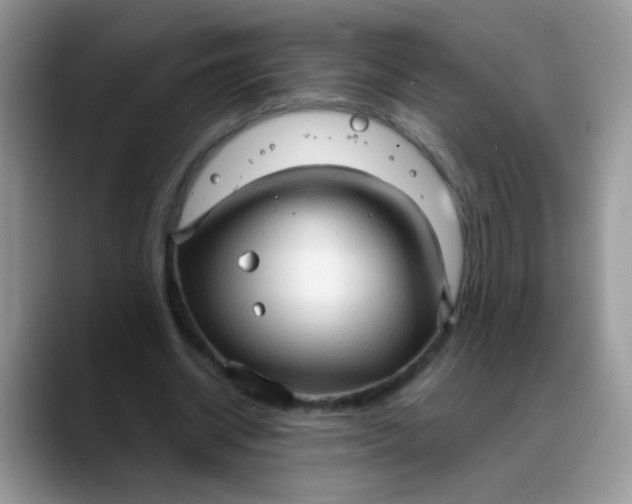 X0000088180534200705291954