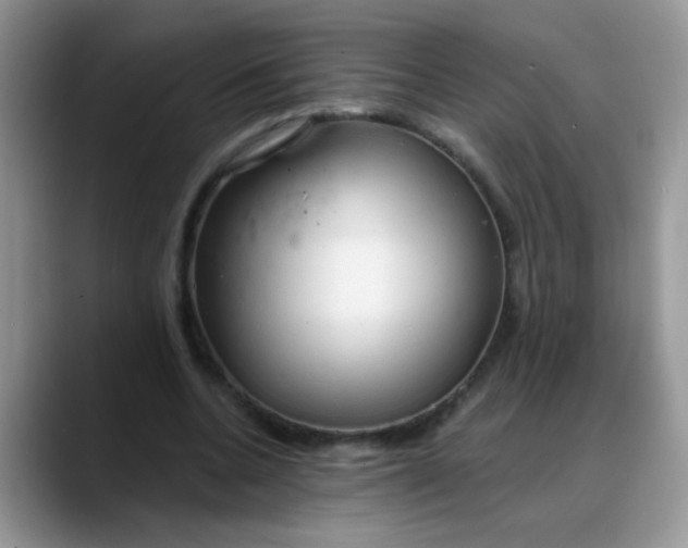 X0000088180536200705291954