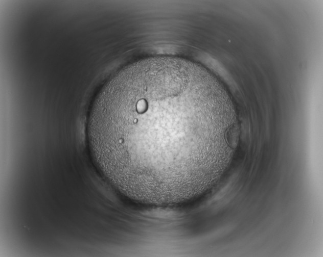 X0000088180537200705291954