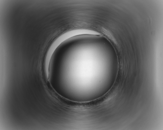 X0000088180538200705291954