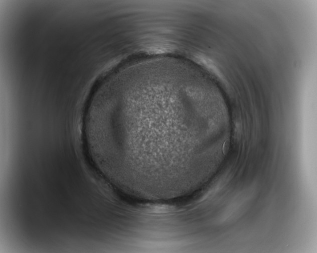 X0000088180539200705291954