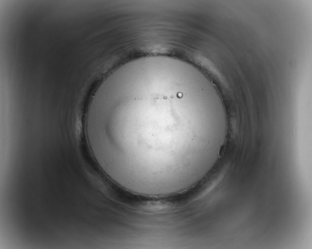 X0000088180541200705291954