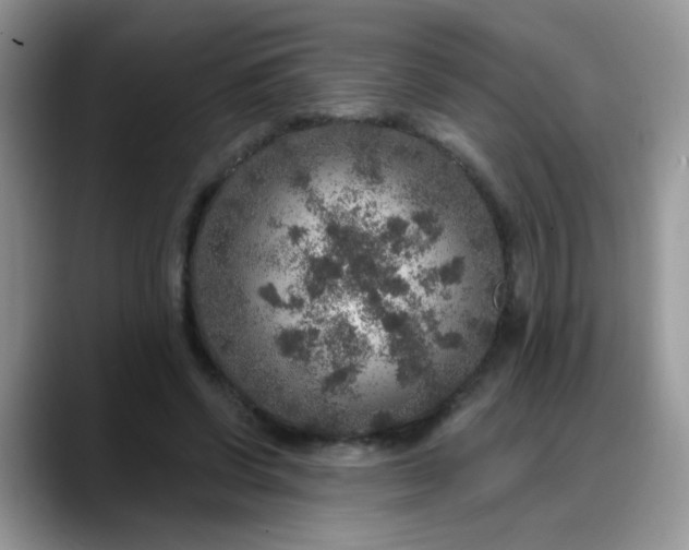 X0000088180542200705291954