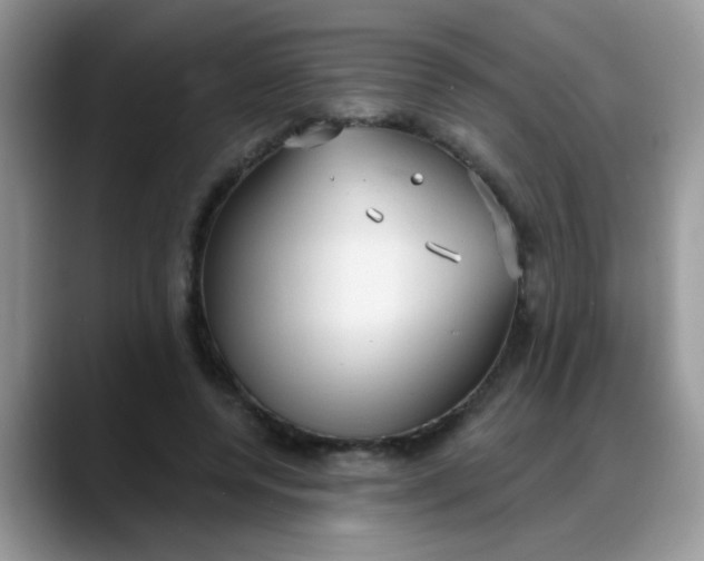 X0000088180544200705291954