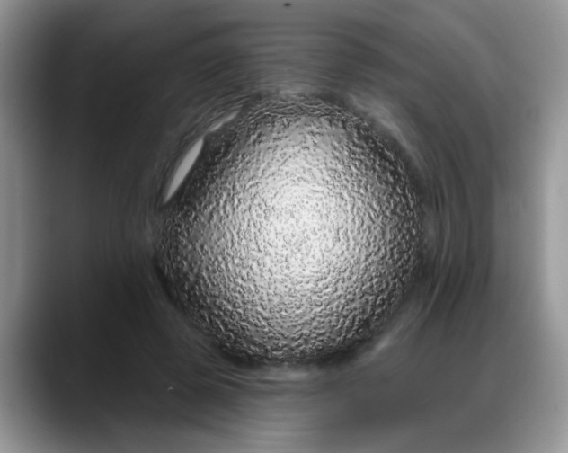 X0000088180545200705291954