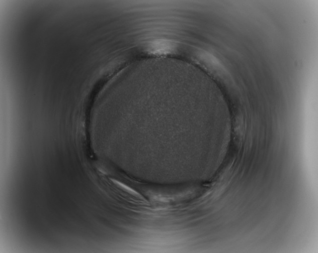 X0000088180547200705291954