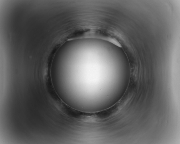 X0000088180548200705291954