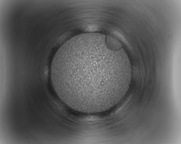 X0000088180549200705291954