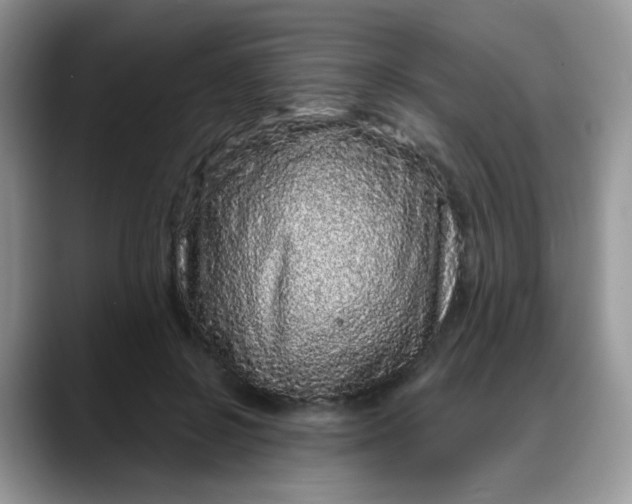 X0000088180550200705291954