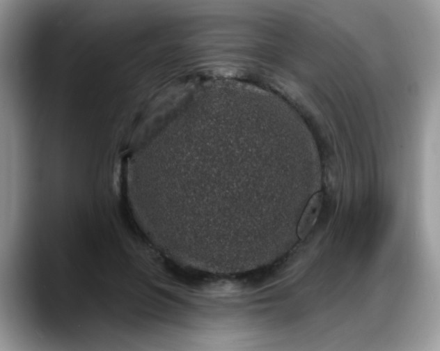 X0000088180551200705291954